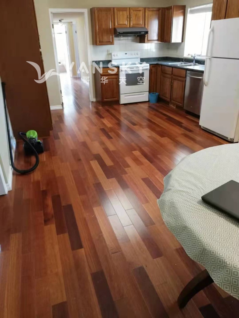 260118200025_Runny below Kit.jpg